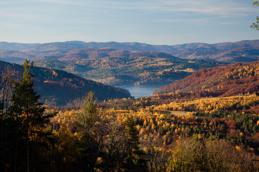 Der Naturlehrpfad Durch Żuków bis zu der Region Lipecka